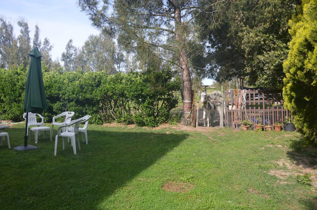 B&B Fra E Fe Arborea Esterno foto